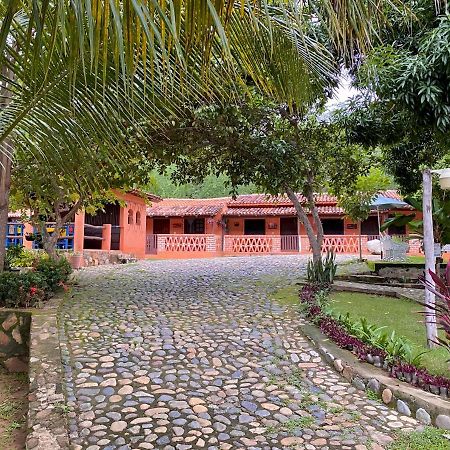 Hotelito Rincon De La Ceiba San José Εξωτερικό φωτογραφία